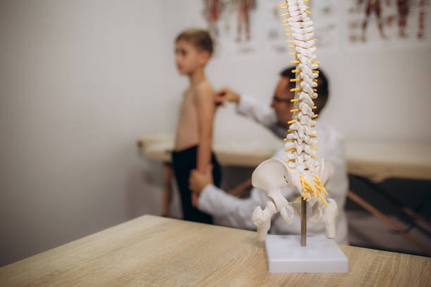 Can a Chiropractor Help with Scoliosis?